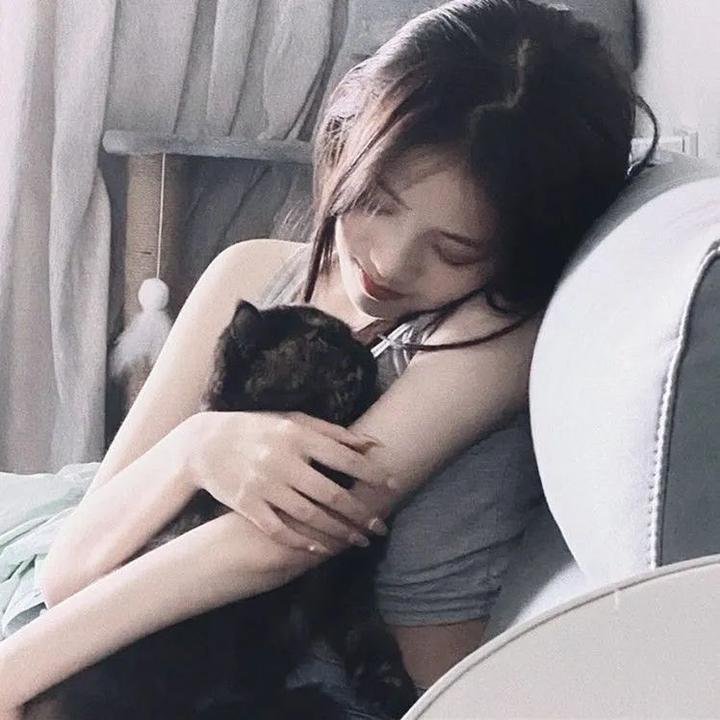 恐龙侵袭